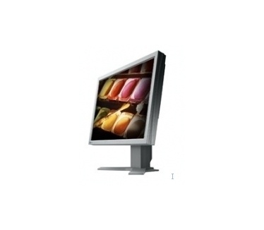 Eizo Flexscan S2000 (20", 8ms, D-sub/DVI-D, Grijs)