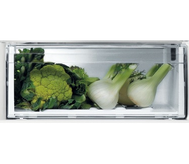 Whirlpool WFNF 81E OX 1
