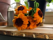 Xiaomi 17 Ultra - 12MP RAW