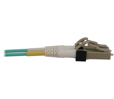 Tripp-Lite N820X-10M