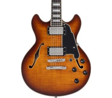 D'Angelico Guitars Premier Mini DC