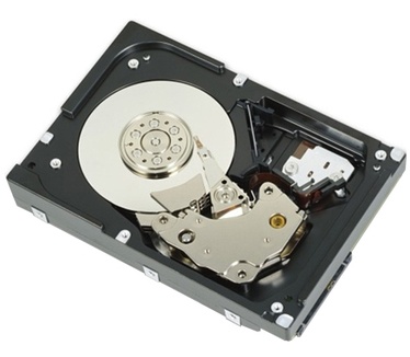 Dell 1.2TB SAS