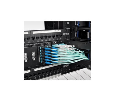 Tripp-Lite N846-03M-24-P