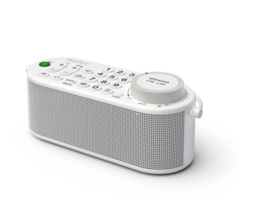 Sony SRSLSR100