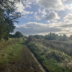 Afbeeldingslocatie: https://tweakers.net/i/ctUk-vVPjXQOlguIOaH7TpGI7Bk=/232x232/filters:strip_icc():strip_exif()/f/image/CBtHSvomdhGcZVo1zaNBrcR7.jpg?f=fotoalbum_tile