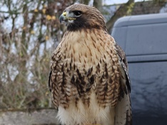 Afbeeldingslocatie: https://tweakers.net/i/ctbqSTp6_f2jhY9mMCm8FZZ2eh4=/234x176/filters:strip_icc():strip_exif()/f/image/U5OtYdYRqFB2zCvyRf62SCyp.jpg?f=fotoalbum_medium