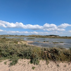 Afbeeldingslocatie: https://tweakers.net/i/cu43UVNHDzBoisIIouqYSafLJq8=/232x232/filters:strip_icc():strip_exif()/f/image/0MSTLWjD2NMqU78mYCNheAec.jpg?f=fotoalbum_tile