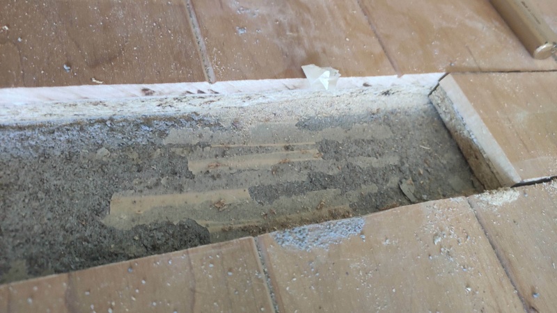 Afbeeldingslocatie: https://tweakers.net/i/cw9kAlfojD4uiIRfYEg649vSJSk=/800x/filters:strip_icc():strip_exif()/f/image/BhKnIx1G3kyzF3l86Q4YCmw8.jpg?f=fotoalbum_large