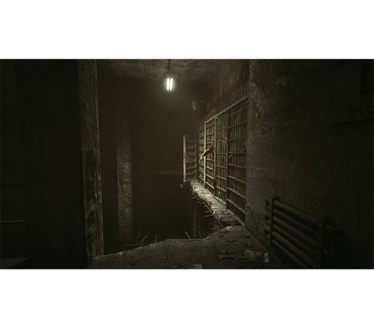 Outlast Trinity, PS4