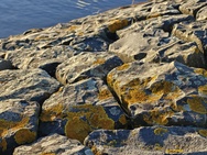 OnePlus 15 cameratest - Telecamera