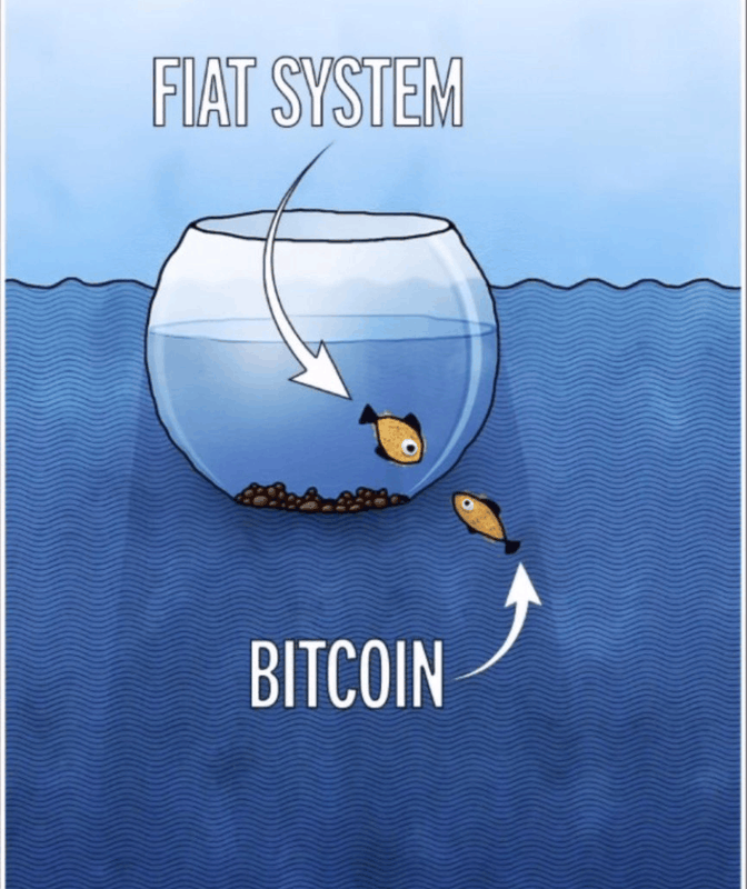 Afbeeldingslocatie: https://tweakers.net/i/czho5O0e0rDwJCu1EeGaKGWbXqE=/x800/filters:strip_exif()/f/image/dxEhVag43ZJ7TTldGWCUKa8D.png?f=fotoalbum_large