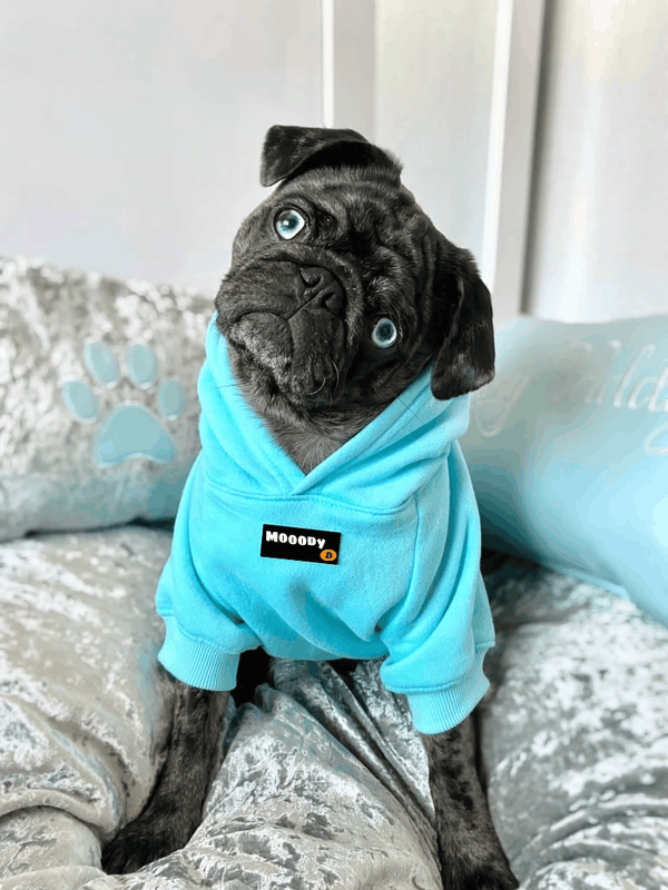 Afbeeldingslocatie: https://tweakers.net/i/d-5_xgSKaBGyI_wOe3fibUcWJxI=/x800/filters:strip_exif()/f/image/f3Oa6WWkOQwokrFoqZQUyMU7.png?f=fotoalbum_large