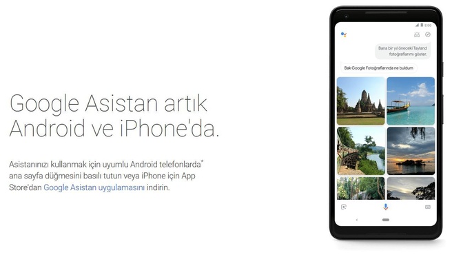 Google Assistant Turks