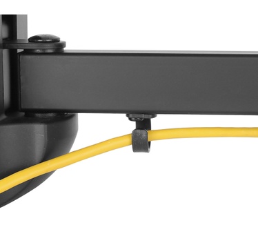 Newstar TV/Monitor Wall Mount (2 pivots & tiltable) for 10"-32" Screen - Black
