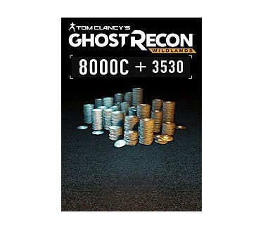 Microsoft Tom Clancy’s Ghost Recon Wildlands - Extra Large Pack 11530 GR Credits, Xbox One