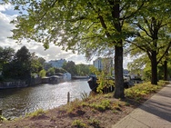 Cameratest OnePlus Nord 3 - Primaire camera overdag