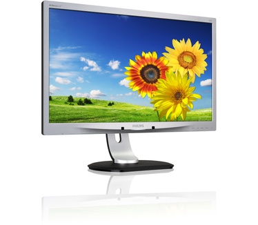 Philips 220P4LPYES Zilver