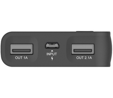RealPower PB-10000L