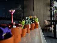 Cameratest iPhone 17e - Hoofdcamera