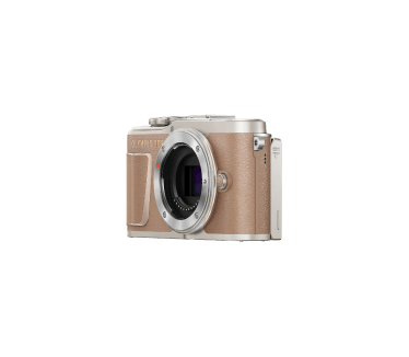 Olympus PEN E-PL10 Bruin