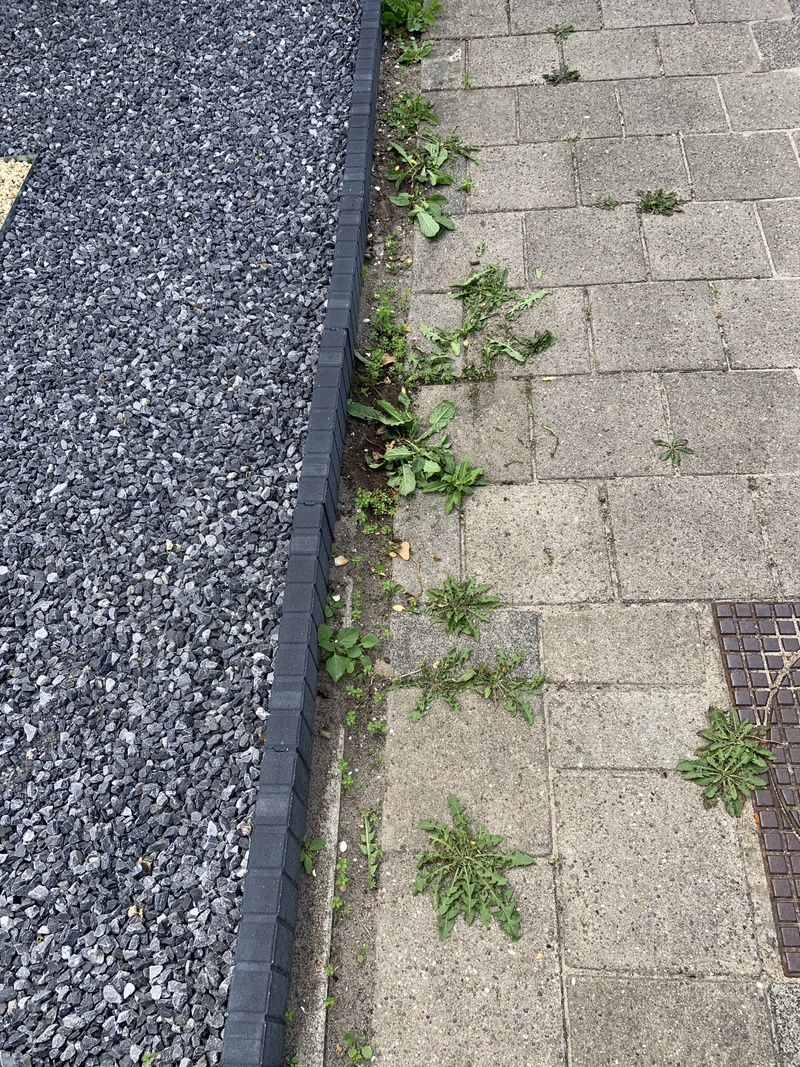 Afbeeldingslocatie: https://tweakers.net/i/d5EqyDX0f5AlKYUAlXcKRlEmQo8=/800x/filters:strip_icc():strip_exif()/f/image/FEnV5dX4mnAwRx1ZZhT0jfgf.jpg?f=fotoalbum_large
