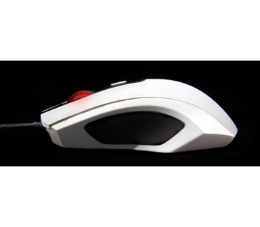 Ozone Xenon White