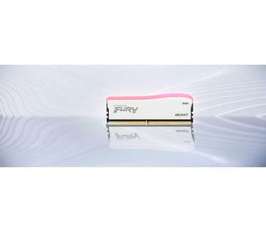 Kingston Fury Beast RGB Special Edition KF436C17BWA/8