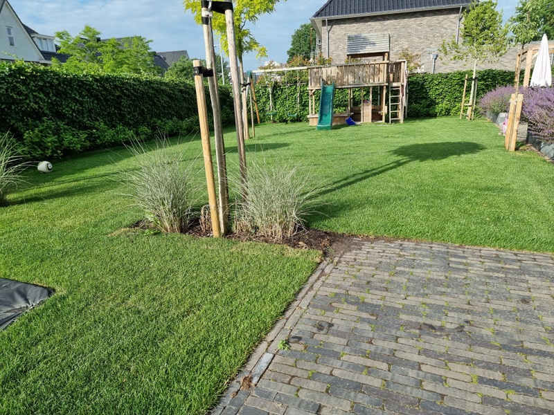 Afbeeldingslocatie: https://tweakers.net/i/d8VPKj8rDuyr7WhEvgyLtmao5oQ=/800x/filters:strip_icc():strip_exif()/f/image/ZACvKQNWv0U19r1BeHQVrduQ.jpg?f=fotoalbum_large