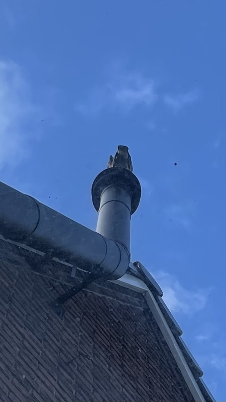 Afbeeldingslocatie: https://tweakers.net/i/d9IkEy330ggbGd5AyeO9Fi87UKc=/x800/filters:strip_icc():strip_exif()/f/image/DmW9D4Ea089H7dqYmGUbybFA.jpg?f=fotoalbum_large