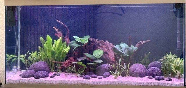 Afbeeldingslocatie: https://tweakers.net/i/d9MXhZIBBmWo1a-El1mz5XB_DAQ=/fit-in/4920x3264/filters:max_bytes(3145728):no_upscale():strip_icc():strip_exif()/f/image/LiaQ82UHaPg78GhPa9l7mPbx.jpg?f=user_large