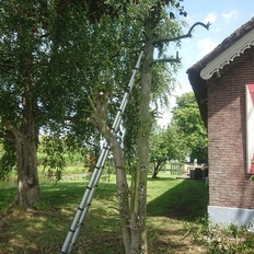 Afbeeldingslocatie: https://tweakers.net/i/dA0oLlN5Bpk0gSBKNqtQPUv8n0g=/232x232/filters:strip_icc():strip_exif()/f/image/lUVlpBxZ09bKArtWKMT3tcbb.jpg?f=fotoalbum_tile