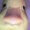 avatar van sjoerdadlp
