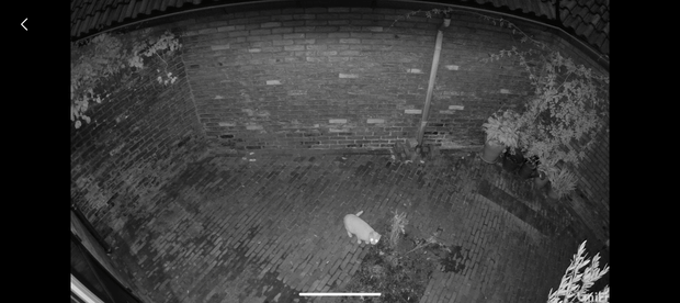 Afbeeldingslocatie: https://tweakers.net/i/dCpQjrSntSxU1Zsn3x2vEfp9TsA=/620x/filters:strip_exif()/m/564273/1V7SypLIWTEN7WxXP996rZTdGFDcp1nq6jNWbAao8g5V6tl6Ec.png?f=620xauto
