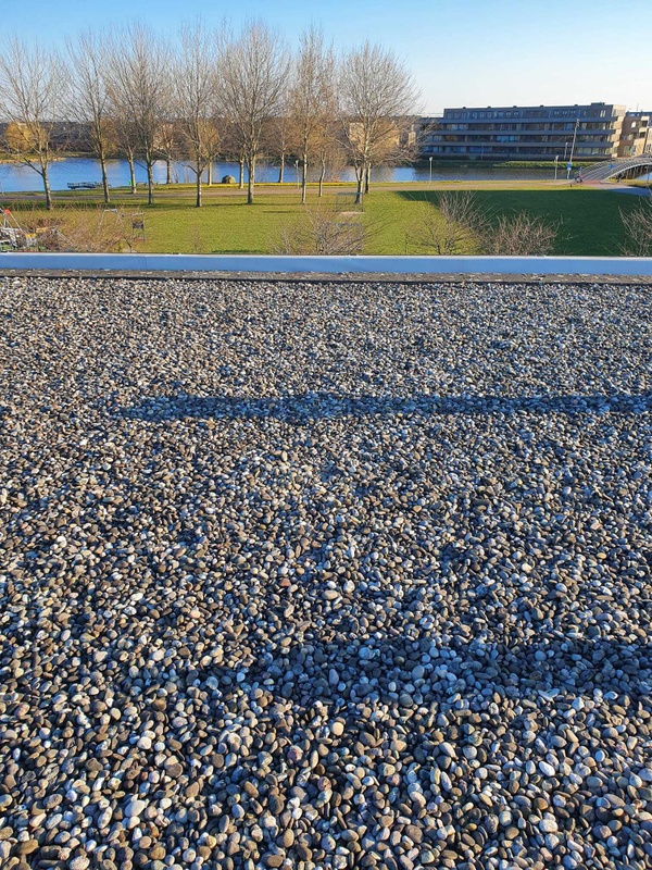 Afbeeldingslocatie: https://tweakers.net/i/dERT-s5uXgv-ZMPsgQitI5o-LsE=/x800/filters:strip_icc():strip_exif()/f/image/w7otrzPQW0vdz2mczMxOWeod.jpg?f=fotoalbum_large