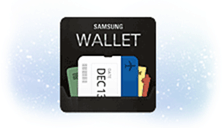 Samsung Wallet
