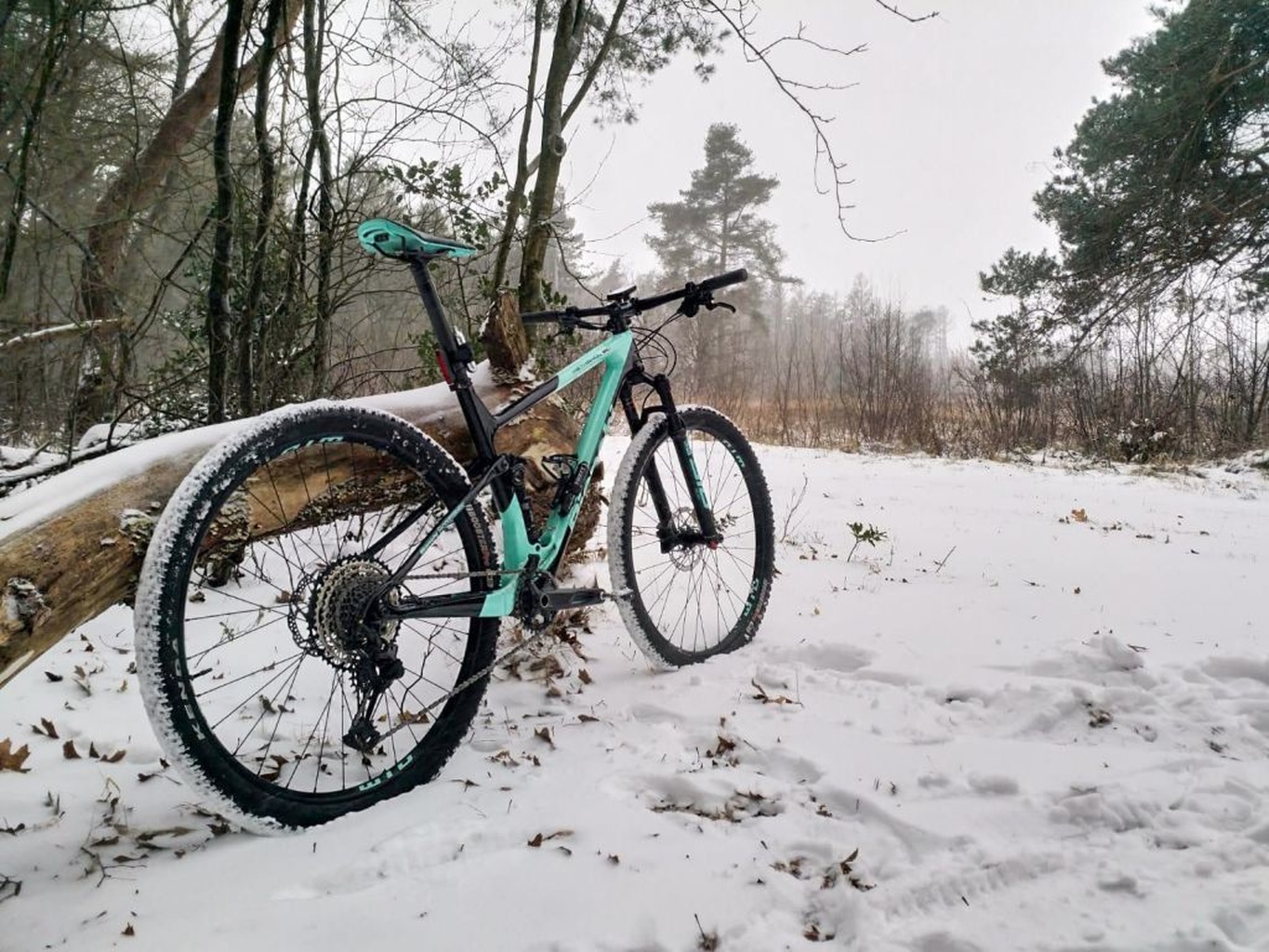 Afbeeldingslocatie: https://tweakers.net/i/dFvqHJKOP3eoTlv7mZncJOwEL2k=/full-fit-in/4920x3264/filters:max_bytes(3145728):no_upscale():strip_icc():fill(white):strip_exif()/f/image/h8WwLXA2VDOYT9KPgyHo18Mu.jpg?f=user_large