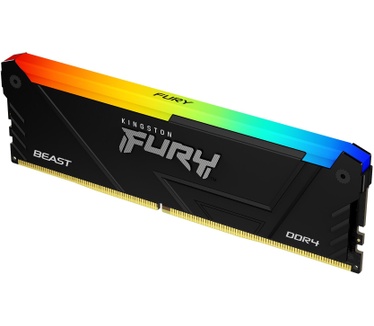 Kingston Beast RGB