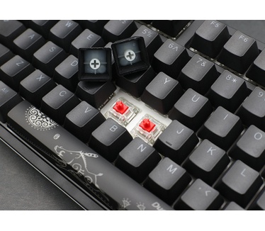 Ducky One 2 RGB TKL Zwart  (Cherry MX Red, Qwerty US)