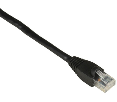 Black Box 1ft Cat6