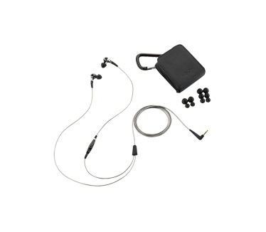Denon AH-C250 (Zilver, Zwart)