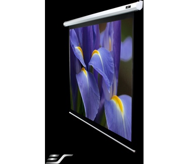 Elite Screens VMAX2 166"