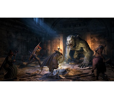 Dragon's Dogma: Dark Arisen, Switch