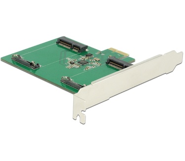 Delock PCI Express Card > 2 x intern mSATA (89479)