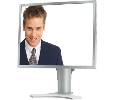 NEC MultiSync 1990SXi Wit