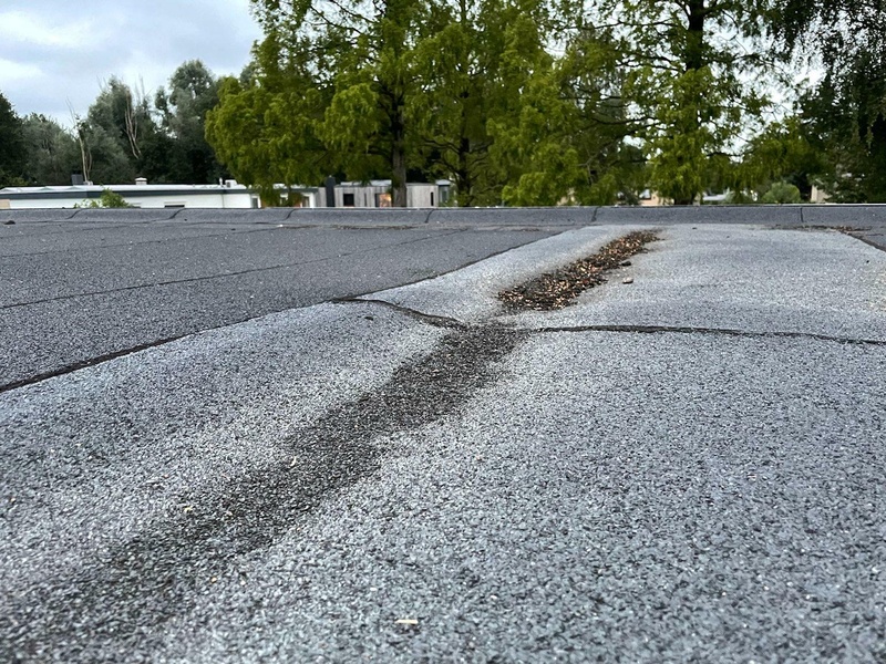 Afbeeldingslocatie: https://tweakers.net/i/dWM_vjGH5-ldJv_XyPrmZvwZSPA=/800x/filters:strip_icc():strip_exif()/f/image/ENJS3NNNeGrxIVmfPyC5u9Lz.jpg?f=fotoalbum_large