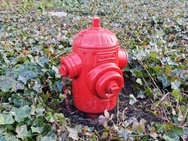 Cameratest - 2x zoom