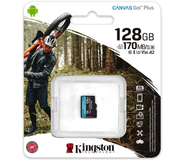 Kingston Canvas Go! Plus