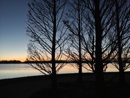 OnePlus 15 cameratest - Primair nachtmodus