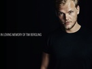 Avicii Invector