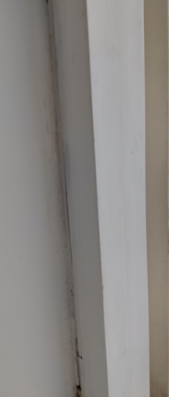 Afbeeldingslocatie: https://tweakers.net/i/ddI-Pbh8vhLaYljrzNucA_9beCA=/x800/filters:strip_icc():strip_exif()/f/image/3TjrQlmCrB3THPfs51M77u2s.jpg?f=fotoalbum_large